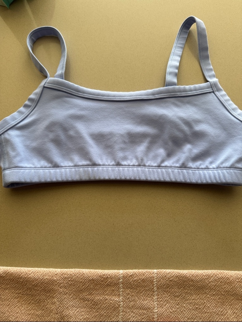 Aritzia Light Blue Bralette Crop Top